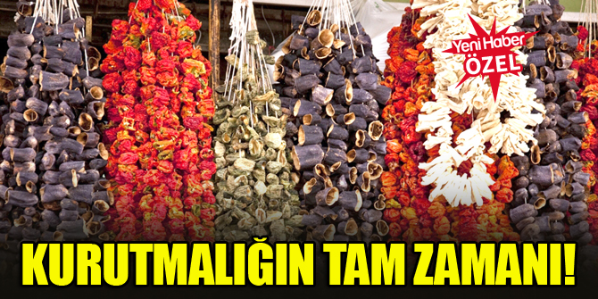 Kurutmalığın tam zamanı!
