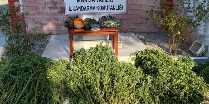 Manisa’da jandarmadan drone ile uyuşturucu operasyonu