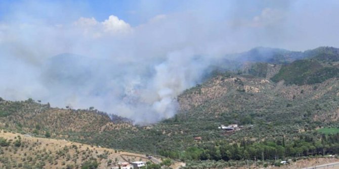 Zeytinlik alanda çıkan yangın ormana sıçradı; Söndürme çalışmaları devam ediyor
