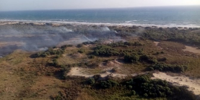 Kaş'ta sazlık alanda yangın