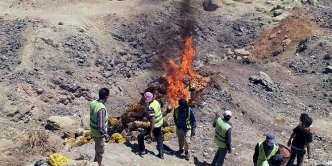 25 Ton patates imha edildi