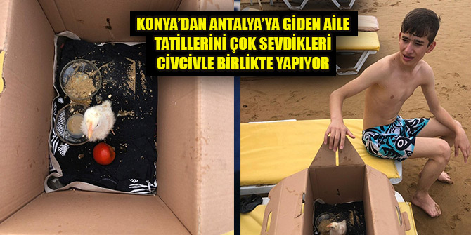 Tatillerini çok sevdikleri civcivle birlikte yapıyorlar