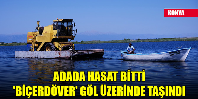 Adada hasat bitti, 'biçerdöver' göl üzerinde taşındı