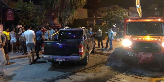 Kamyonet evin bahçe duvarına çarptı, 3 kişi yaralandı
