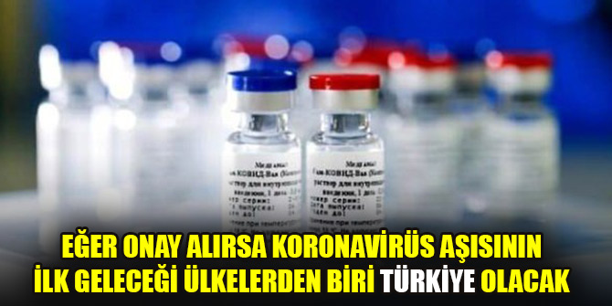 Rusya'nın 'bulduk' dediği koronavirüs aşısının ilk geleceği ülkelerden biri Türkiye olacak