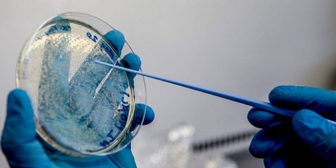 İngiltere’de geliştirilen korona virüs aşısı Uganda’da denenecek