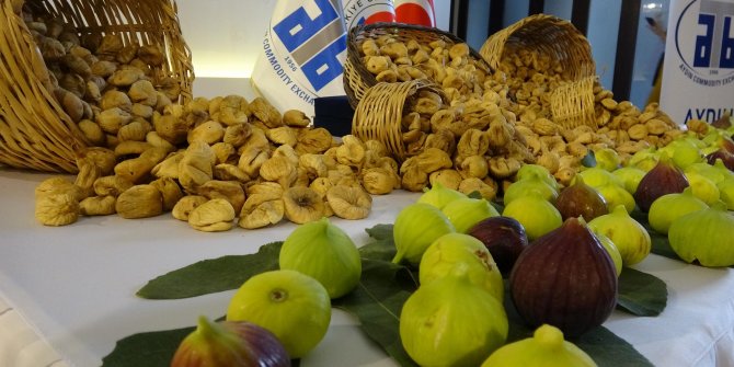 Sezonun ilk kuru inciri, kilosu 150 liradan alındı