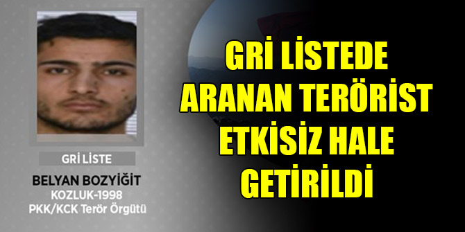 Gri listede aranan terörist etkisiz hale getirildi