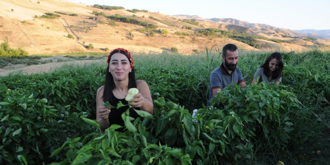 20 dönüm tarlaya sebze ekti, hem ihtiyaç sahiplerini hem çocukları sevindirdi