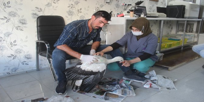 Karapınar'da yaralı leylek tedavi altına alındı
