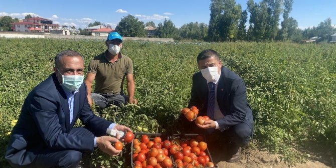 Milletvekili Arvas çiftçileri tarlada ziyaret etti