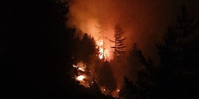 Bolu Aladağ Yaylası'nda çıkan orman yangını kontrol altına alındı