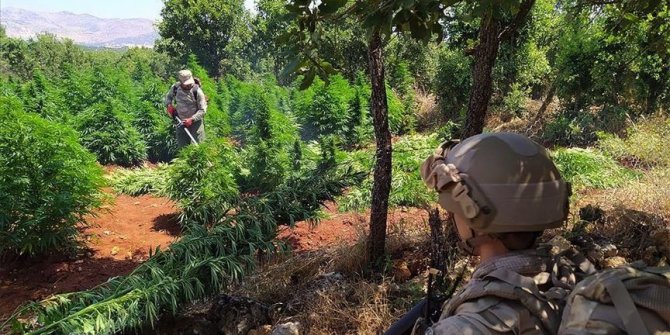 Over 900 kg of hashish seized in eastern Turkey