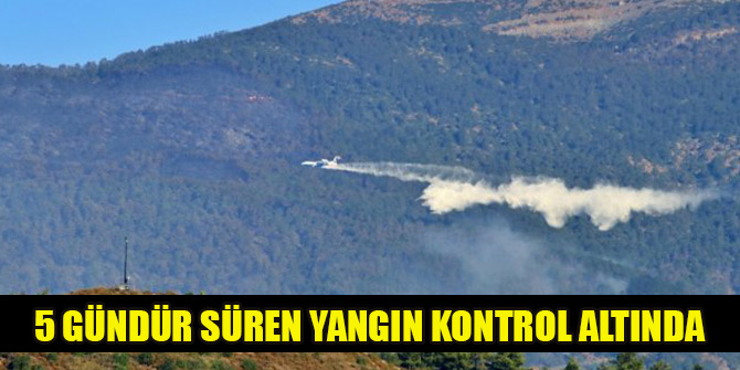 Hatay'daki 5 gündür süren yangın kontrol altında