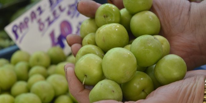Bu eriğin fiyatı iki haftada 8’e katlandı