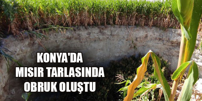 Konya'da mısır tarlasında obruk oluştu