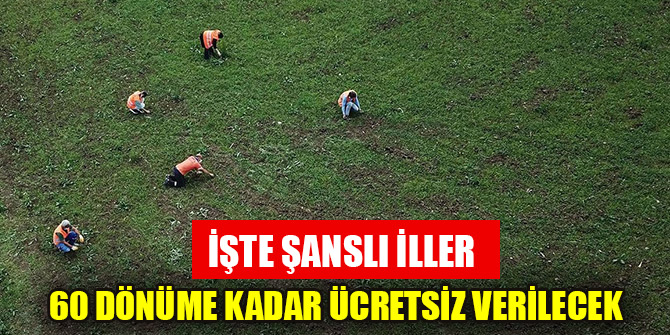 60 dönüme kadar ücretsiz verilecek: İşte şanslı iller