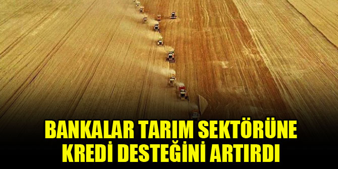 Bankalar tarım sektörüne kredi desteğini artırdı