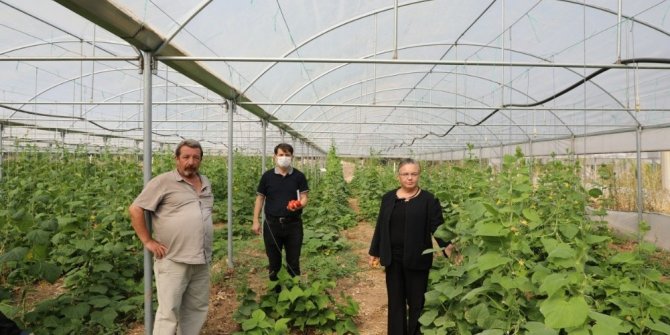 Eskişehir’in şahıs bazlı en büyük organik tarım üreticisi Sarıcakaya’dan