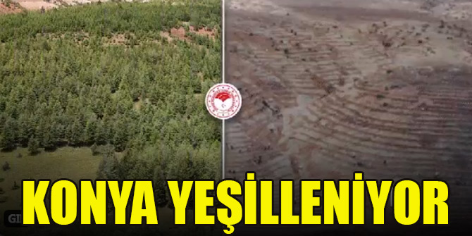 Konya yeşilleniyor