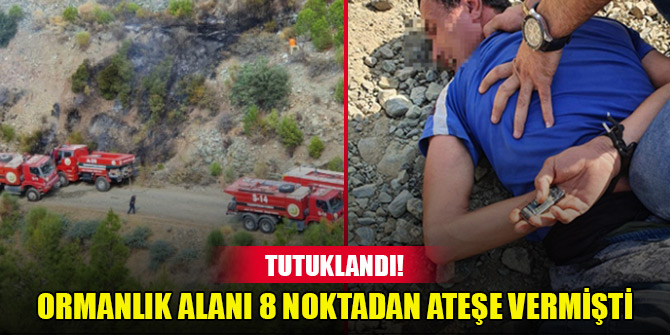 Hatay'da ormanlık alanı 8 noktadan ateşe veren şüpheli tutuklandı