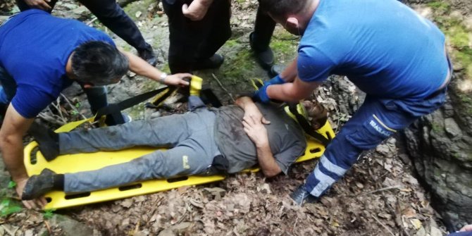 Ormanda kestane toplarken uçuruma yuvarlandı