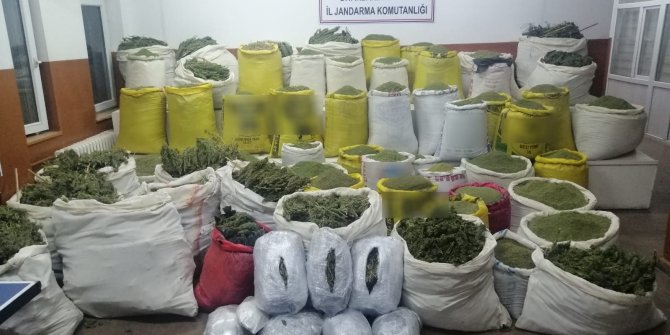 Diyarbakır'da 1 ton 724 kilo esrar, 587 bin kök kenevir ele geçirildi