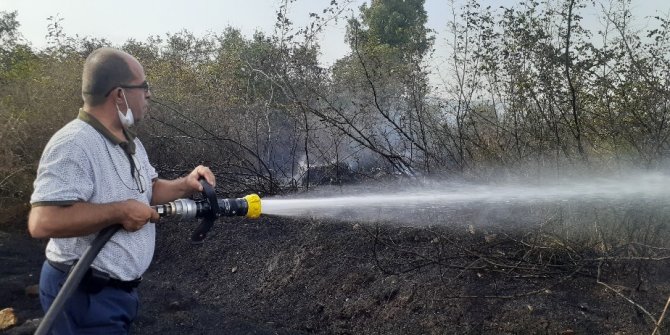 Bursa’da makilik alanda çıkan yangın korkuttu