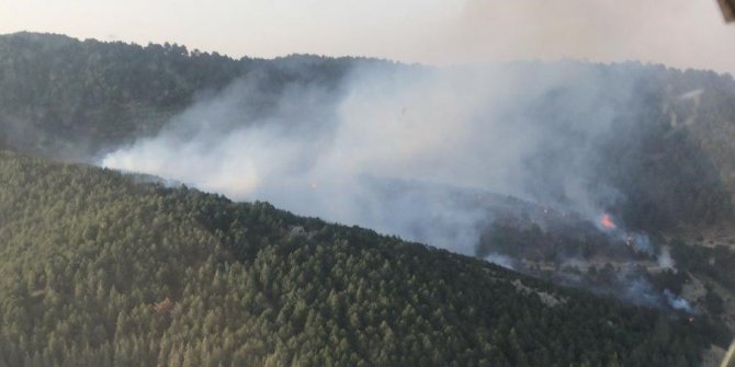 İzmir’de ormanlık alanda yangın paniği