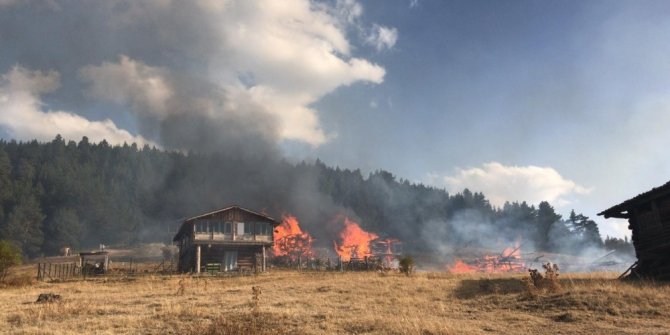 Kastamonu’da çıkan yangında 6 yayla evi küle döndü