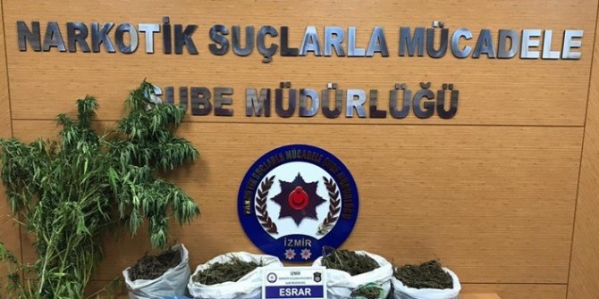 İzmir polisinden 19 ayrı uyuşturucu baskınları: 22 kişi tutuklandı