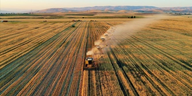 Çiftçilere müjde! Tarımsal destekleme ödemeleri başlıyor