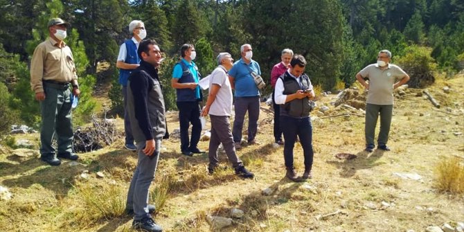 Beyşehir Gölü Milli Parkı'nda yürüyüş yolları yapılacak