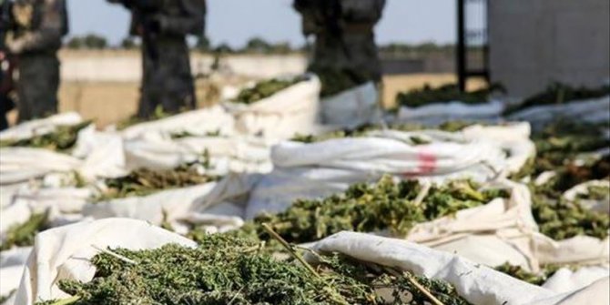 Turkey: Over 221 pounds of marijuana seized