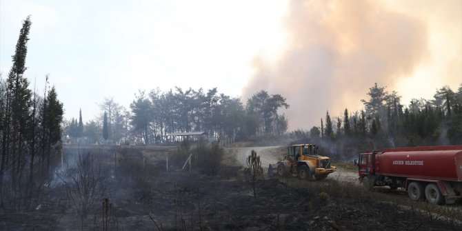 Kahramanmaraş'taki orman yangını sürüyor