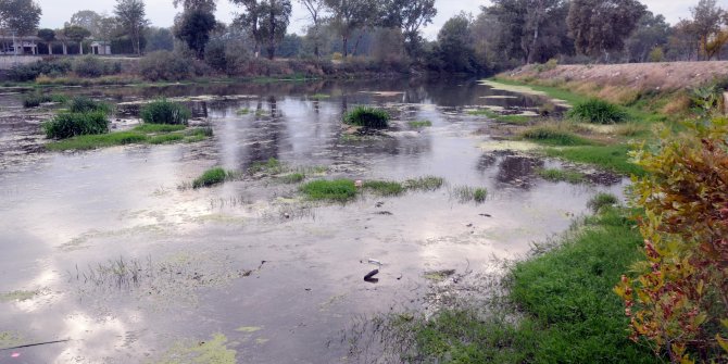 Debisi düşen Tunca Nehri'ndeki çöpler ortaya çıktı