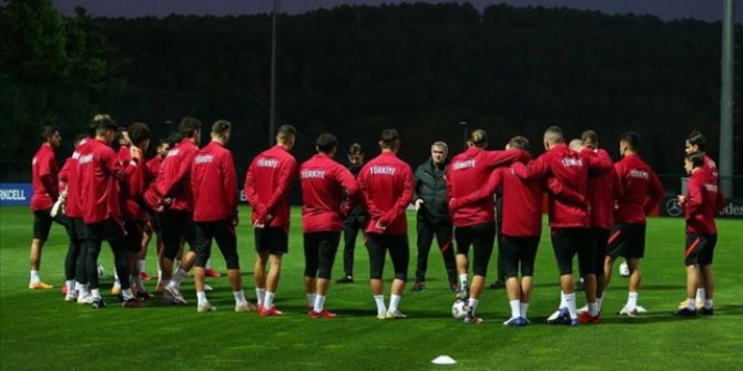 Türkiye, FIFA dünya sıralamasında 33'üncülüğe geriledi