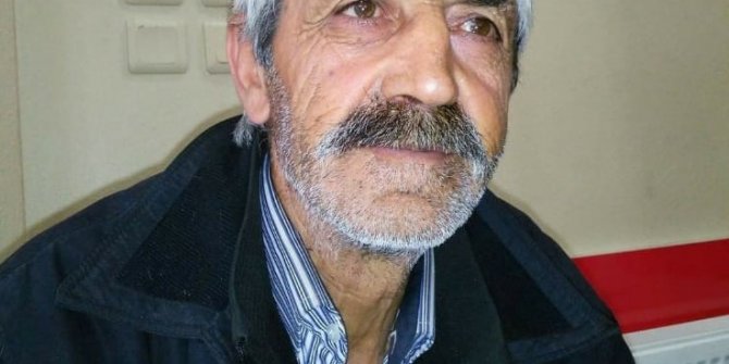 Yardım amacıyla zeytin toplamak için çıktığı ağaçtan düşerek öldü