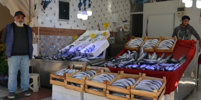 Fırtına çıktı, palamut fiyatları arttı