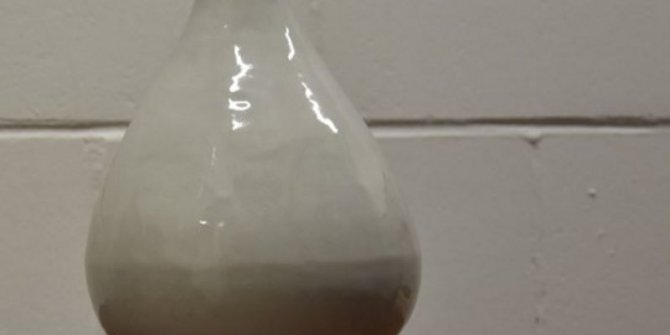 İngiliz polisi bir yıl önce çalınan 2,5 milyon poundluk Çin vazosunu ele geçirdi