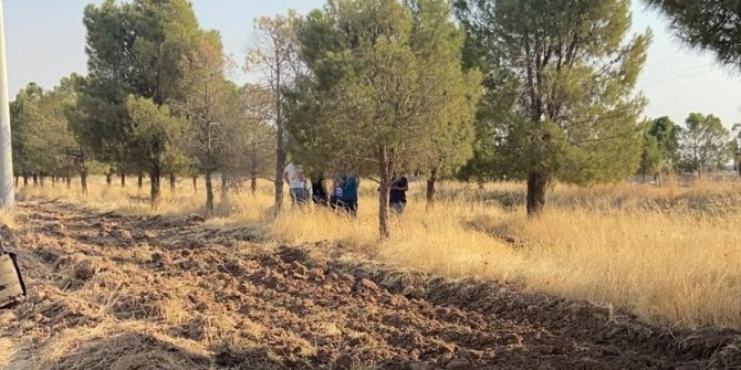 Yol kenarında bomba düzeneği bulundu