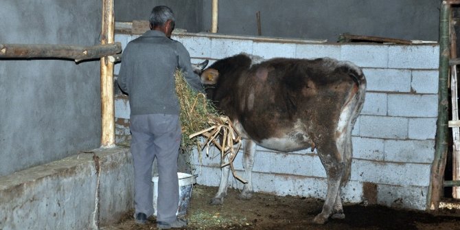 ‘Sarı Kız’ın sahibi Mehmet Emin Amca artık çok mutlu