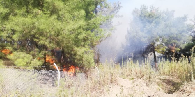 İskenderun'da orman yangını