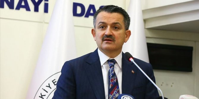 Bakan Pakdemirli: Balon balığı avcılığını destekleme kapsamına aldık