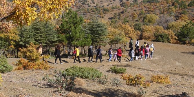 Beyşehir Gölü Milli Parkı sonbaharda doğa tutkunlarını hayran bırakıyor