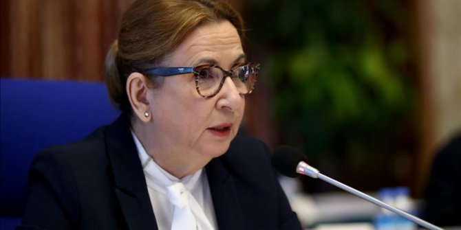 Pekcan: Turska posjeduje potencijal da iskoristi mogućnosti unutar globalnih lanaca snabdijevanja