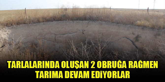 Tarlalarında oluşan 2 obruğa rağmen tarıma devam ediyorlar