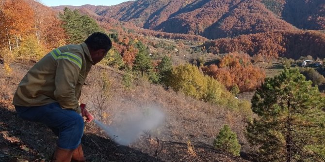 Düzce’de orman yangını kısa sürede söndürüldü