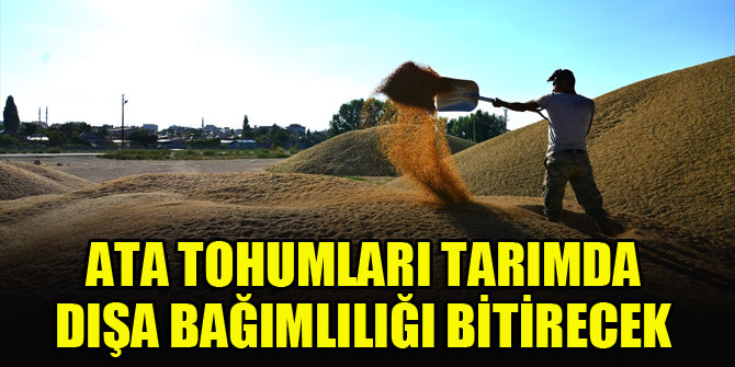 Ata tohumları tarımda dışa bağımlılığı bitirecek