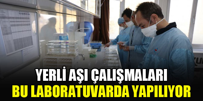 Yerli aşı çalışmaları bu laboratuvarda yapılıyor